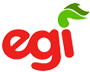 logo-egi-